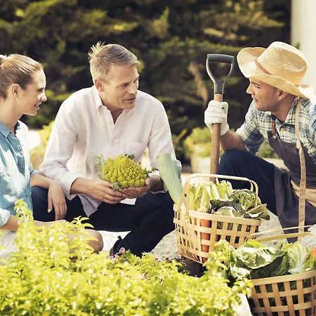 Ośrodek wypoczynkowy Sha Wellness Clinic