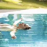 Sha Wellness Clinic El Albir
